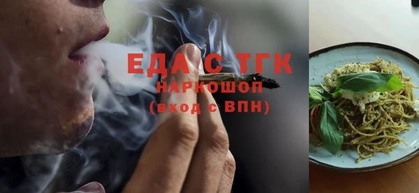 хмурый Алзамай